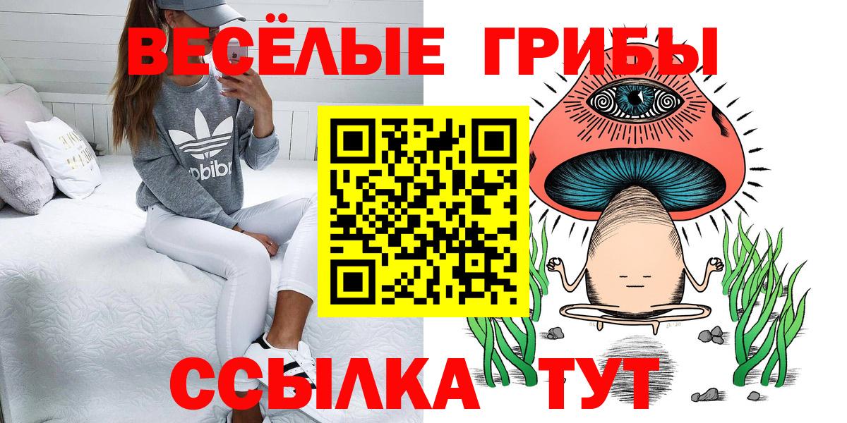 Галлюциногенные грибы Psilocybe Таганрог